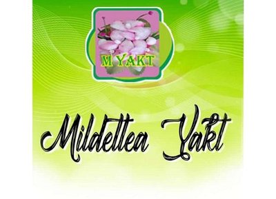 Trademark MILDETTEA YAKT