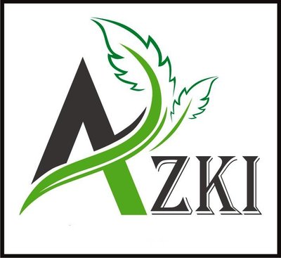 Trademark AZKI + LOGO