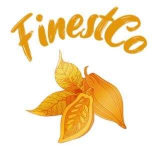 Trademark Finestco + logo