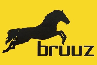 Trademark BRUUZ + LOGO