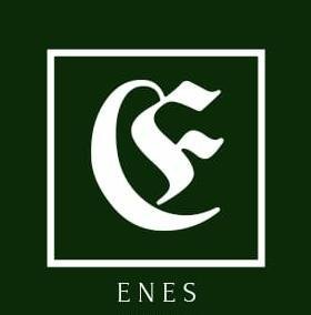 Trademark ENES + LOGO