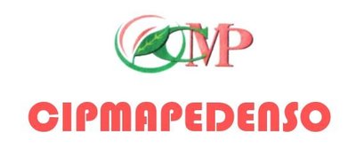 Trademark CIPMAPEDENSO + LOGO