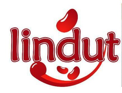 Trademark LINDUT + LOGO