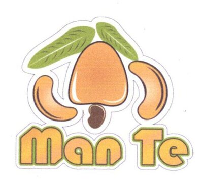 Trademark MAN TE + LOGO