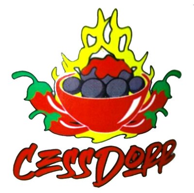 Trademark CESSDORR + LOGO