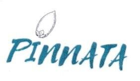 Trademark Pinnata + Logo