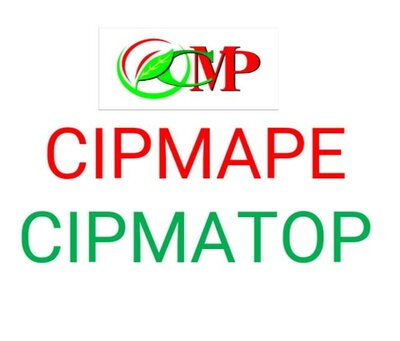 Trademark CIPMAPE CIPMATOP + LOGO/LUKISAN