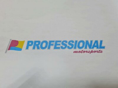 Trademark PROFESSIONAL + Logo