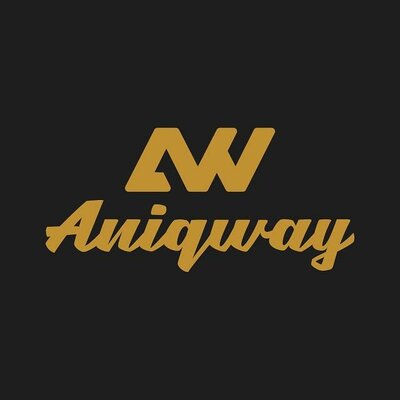 Trademark ANIQWAY + logo