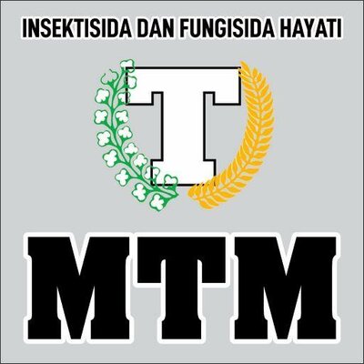 Trademark MTM + LOGO