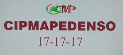 Trademark CIPMAPEDENSO 17 - 17 - 17 + LOGO