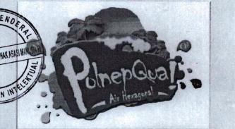 Trademark POLNEPQUA