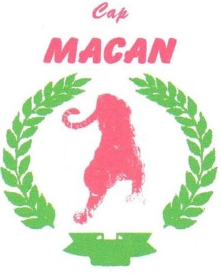 Trademark Cap MACAN