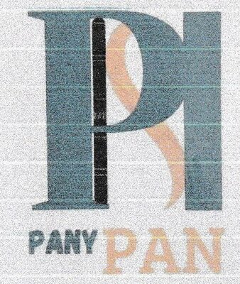 Trademark PANYPAN