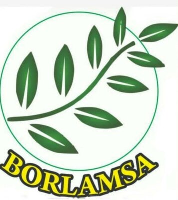 Trademark BORLAMSA