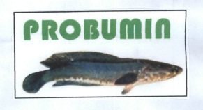 Trademark PROBUMIN