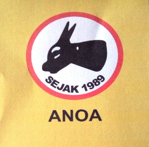 Trademark ANOA