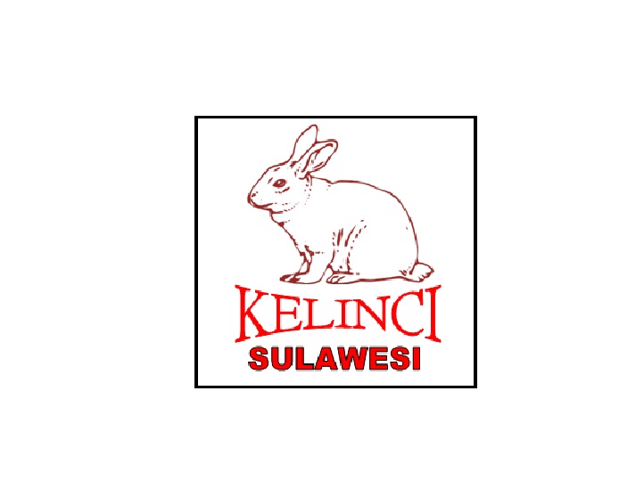 Trademark KELINCI SULAWESI