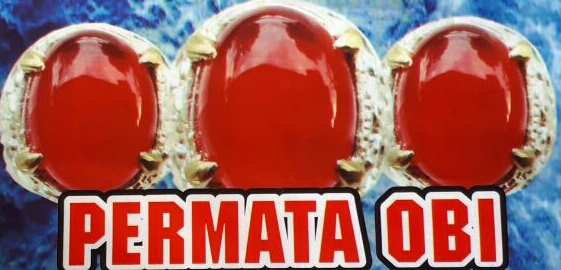 Trademark PERMATA OBI