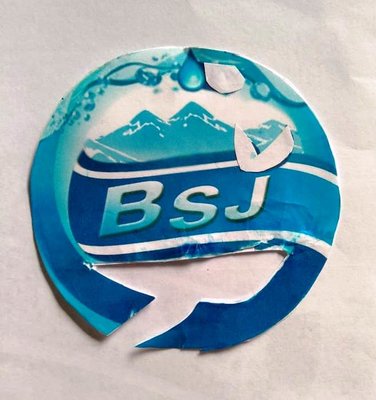 Trademark BSJ + LOGO