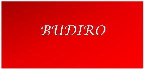 Trademark BUDIRO