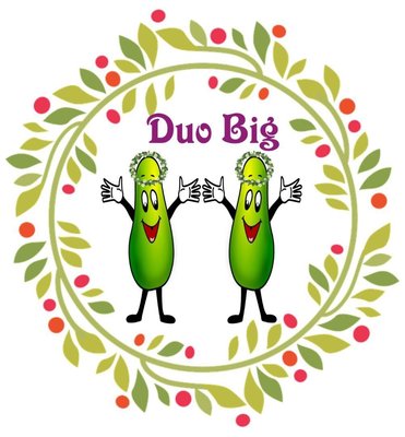 Trademark DUO BIG + LOGO