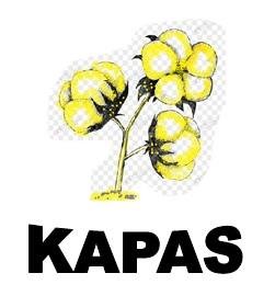 Trademark KAPAS