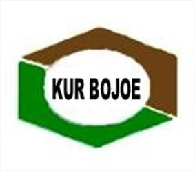 Trademark KUR BOJOE