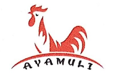 Trademark AYAMULI