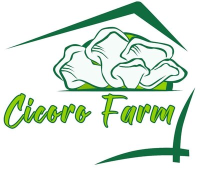 Trademark CICORO FARM