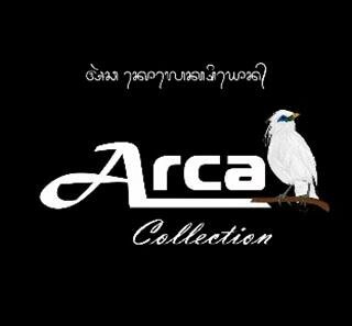 Trademark Arca Collection