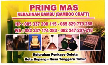 Trademark PRING MAS