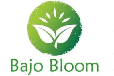 Trademark Bajo Bloom