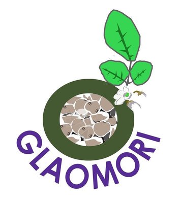 Trademark GLAOMORI