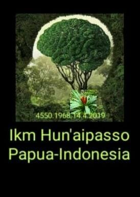 Trademark Ikm Hun’aipasso