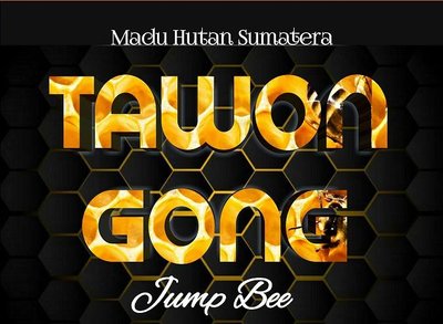 Trademark TAWON GONG Jumb Bee