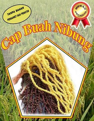 Trademark Cap Buah Nibung