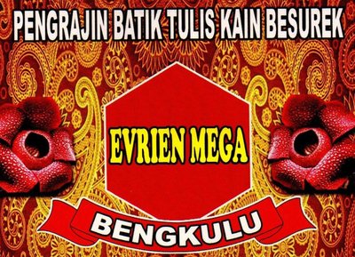 Trademark Evrien Mega