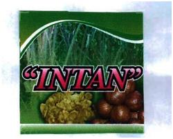 Trademark INTAN