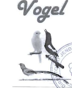 Trademark VOGEL