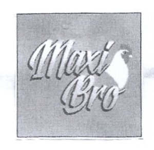 Trademark Maxi Bro