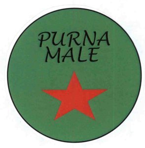 Trademark Purna Male