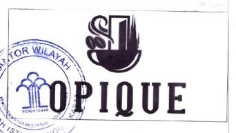 Trademark OPIQUE + LOGO