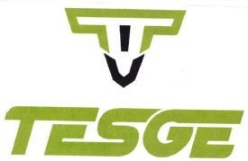 Trademark TESGE + LOGO