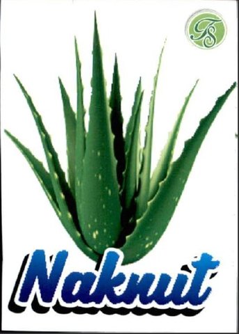 Trademark Naknut