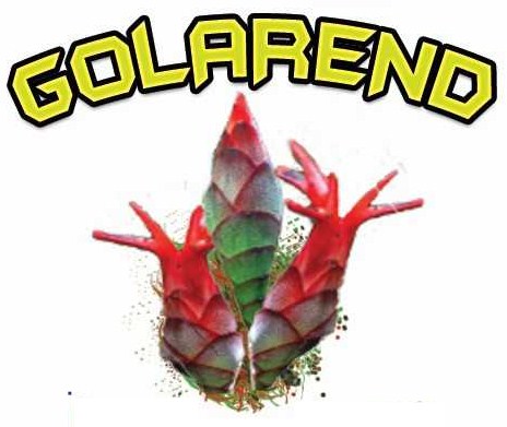 Trademark GOLAREND