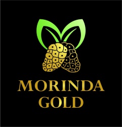 Trademark MORINDA GOLD