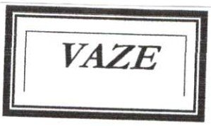 Trademark VAZE