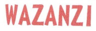 Trademark WAZANZI