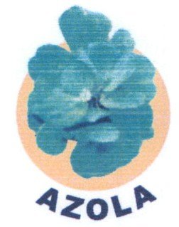 Trademark AZOLA + LUKISAN